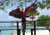 Sandcastles Ocho Rios